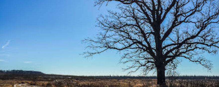 Jefferson Tamarack Swamp State Natural Area