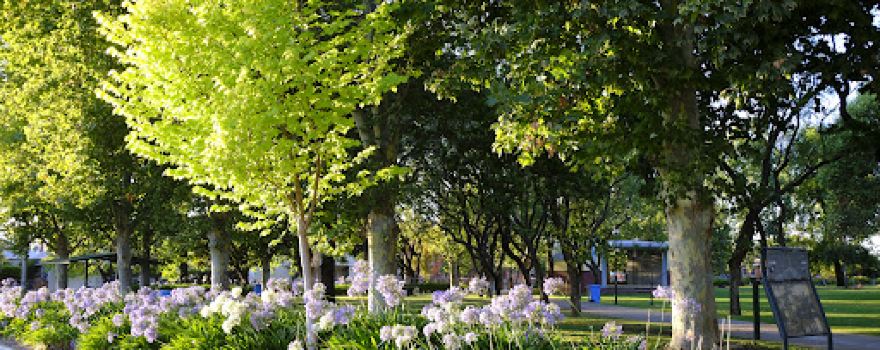 Mountford Park