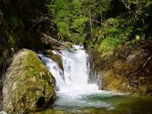 Cascada Maria (Mării)