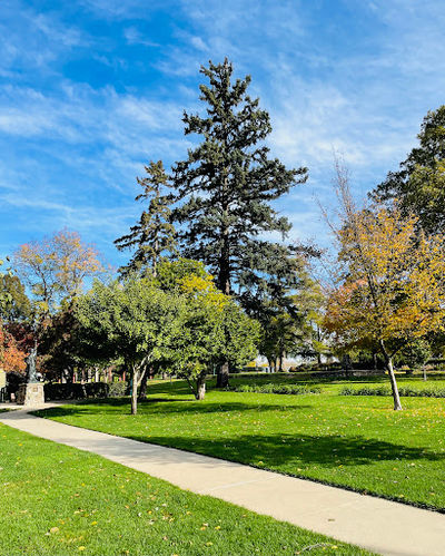 McKennan Park