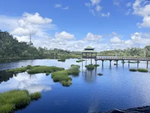Labi Forest Reserve