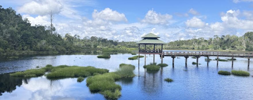 Labi Forest Reserve