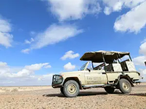 Shaumari Wildlife Reserve