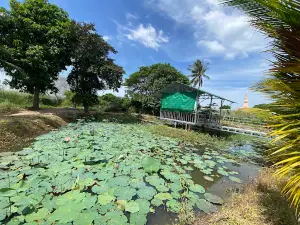 Nhà sàn Đại Loan