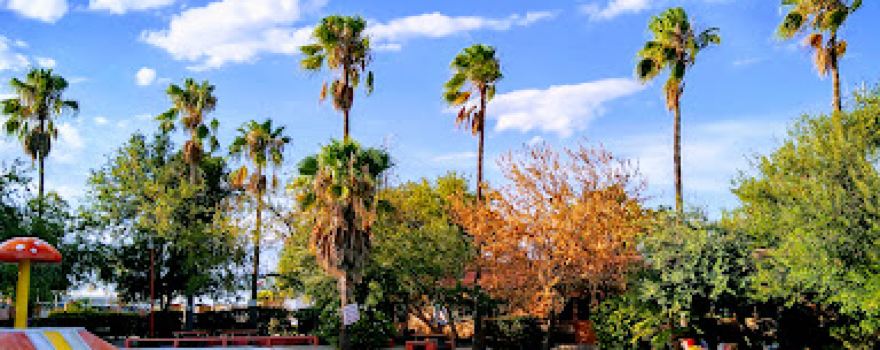 Deportivo San Benito