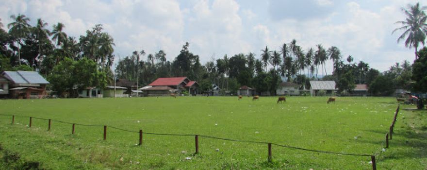 Lapangan Guntur Rokan