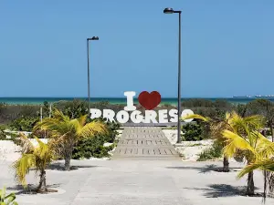 Autoprogreso Tours