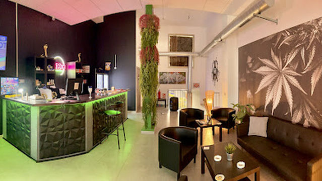 Toxic Social Club- WEED