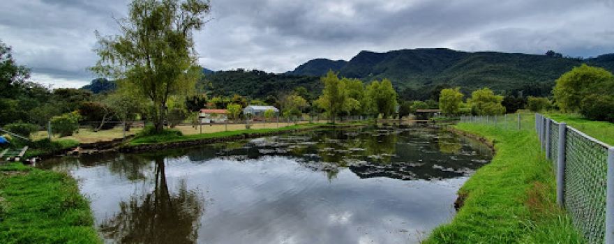 Tabio Botanical Garden