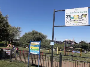 para perros Park