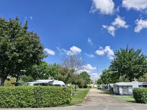 Campingplatz Gülser Moselbogen