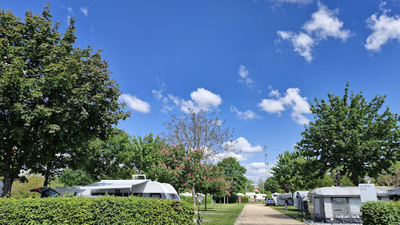 Campingplatz Gülser Moselbogen