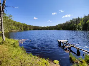 Paunküla matkarajad