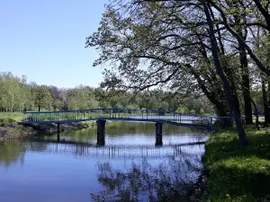 Дендрологический лесной центр "Веселые Боковеньки"