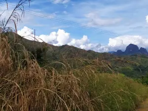 Parque Eneas Perdomo