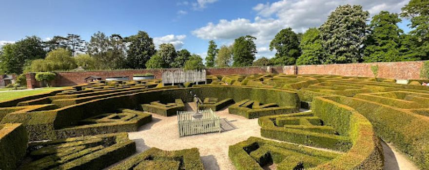 Marlborough Hedge Maze
