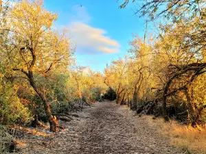 McNary Wildlife Nature Area