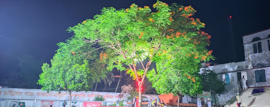 Shaheed Minar, Jhenaidah