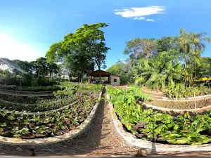 Horto Florestal