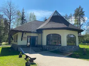 The LVM Pokaiņi forest