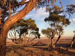 Bendleby Ranges