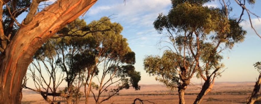 Bendleby Ranges