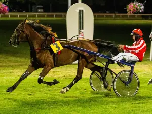 Hippodrome de Luxé