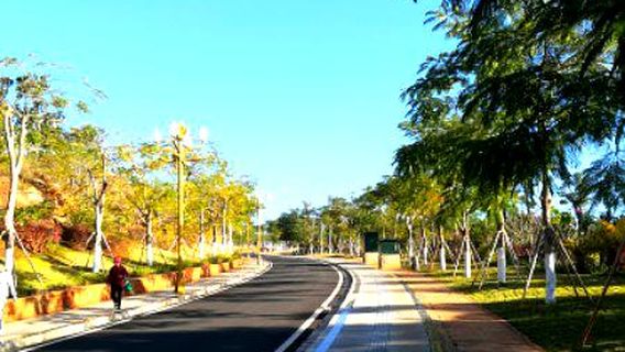 Phoenix Ecological Park