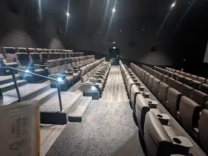 Notorious Cinemas