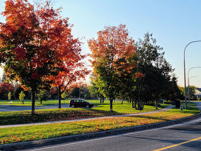 Kanata Park