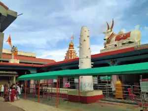 Shree Danammadevi Devasthan, Guddapura