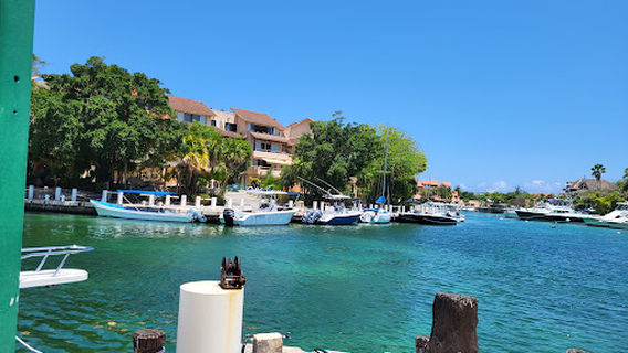 Dolphin Discovery Riviera Maya