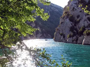 Camping Frédéric Mistral