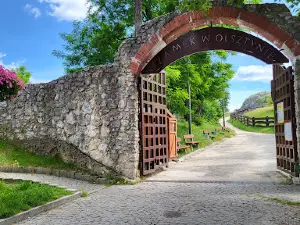 Castle in Olsztyn