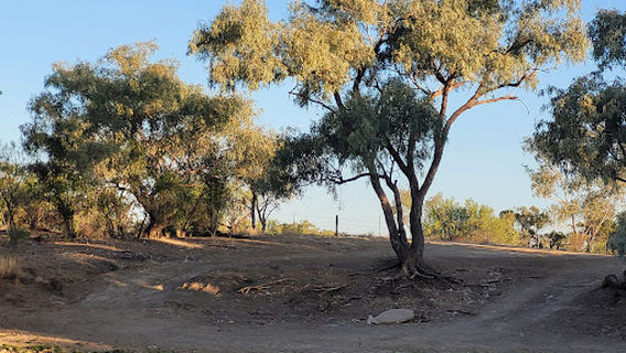OUTBACK PIONEERS THOMSON RIVER CRUISES