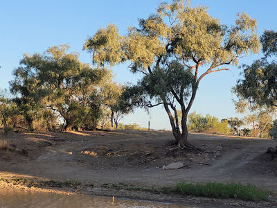 OUTBACK PIONEERS THOMSON RIVER CRUISES