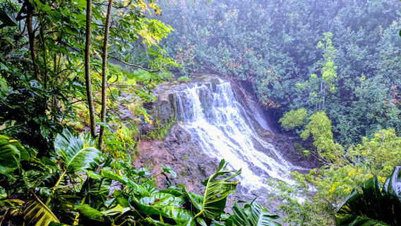 Ho'opi'i Falls Trailhead
