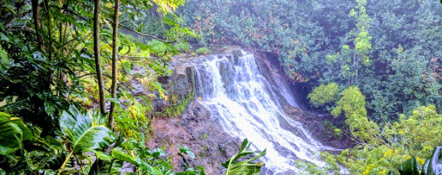 Ho'opi'i Falls Trailhead