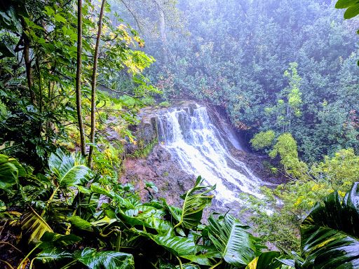 Ho'opi'i Falls Trailhead