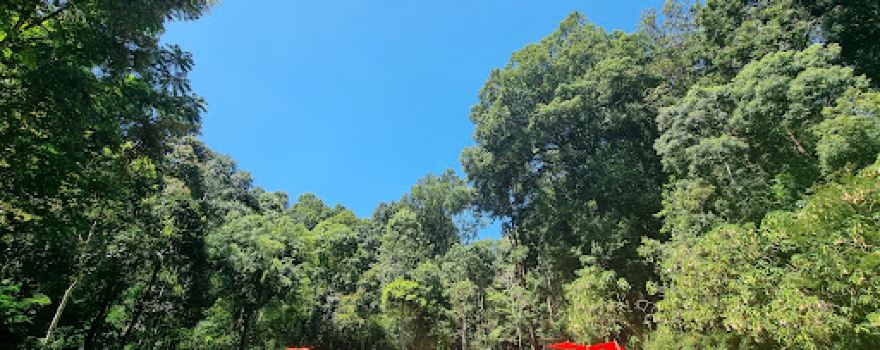 Taman Buru Gunung Masigit Kareumbi