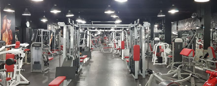 DALLAH GYM FOR BODY BULIDING