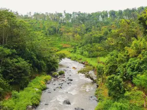 Pekalen Rafting Adventure