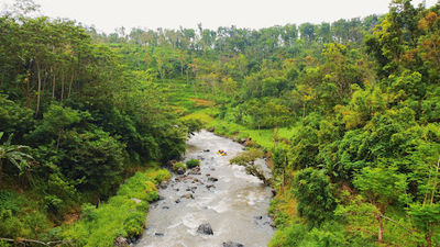 Pekalen Rafting Adventure