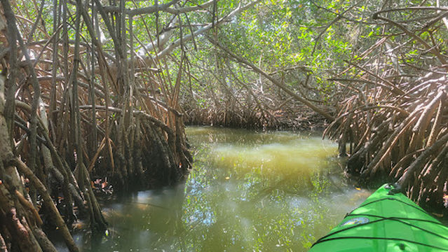Central Florida Kayaking