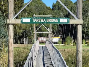 Gum Tree Farm Mountain Bike Park