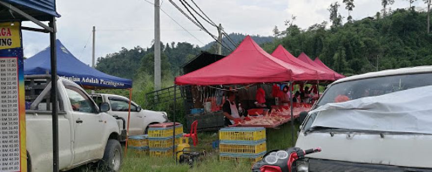 Tapak Pasar Malam Lojing
