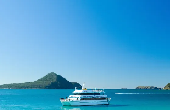 月影號出海觀海豚遊船海豚探索之旅船票成人