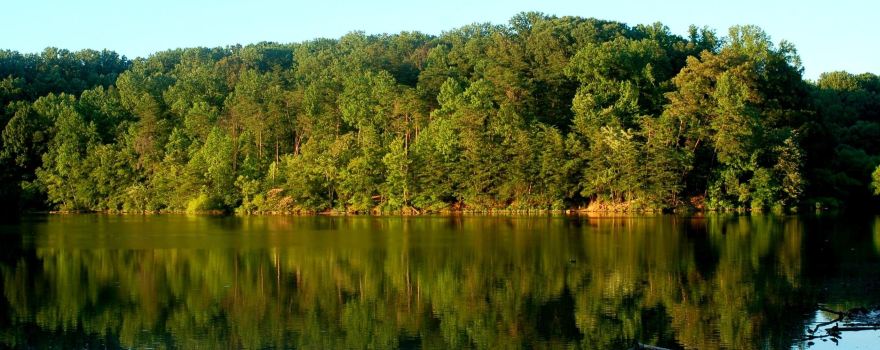 Lake Accotink Park