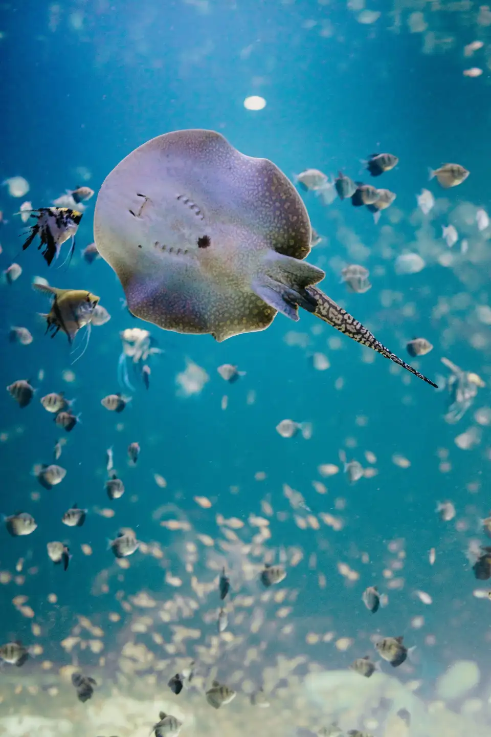1_AquaRio