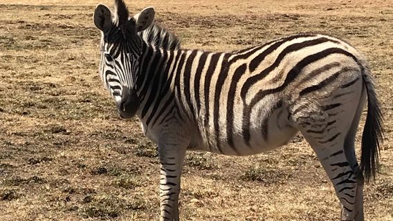 Moreleta Kloof Nature Reserve